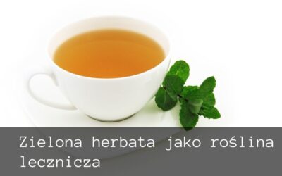 Zielona herbata jako roślina lecznicza