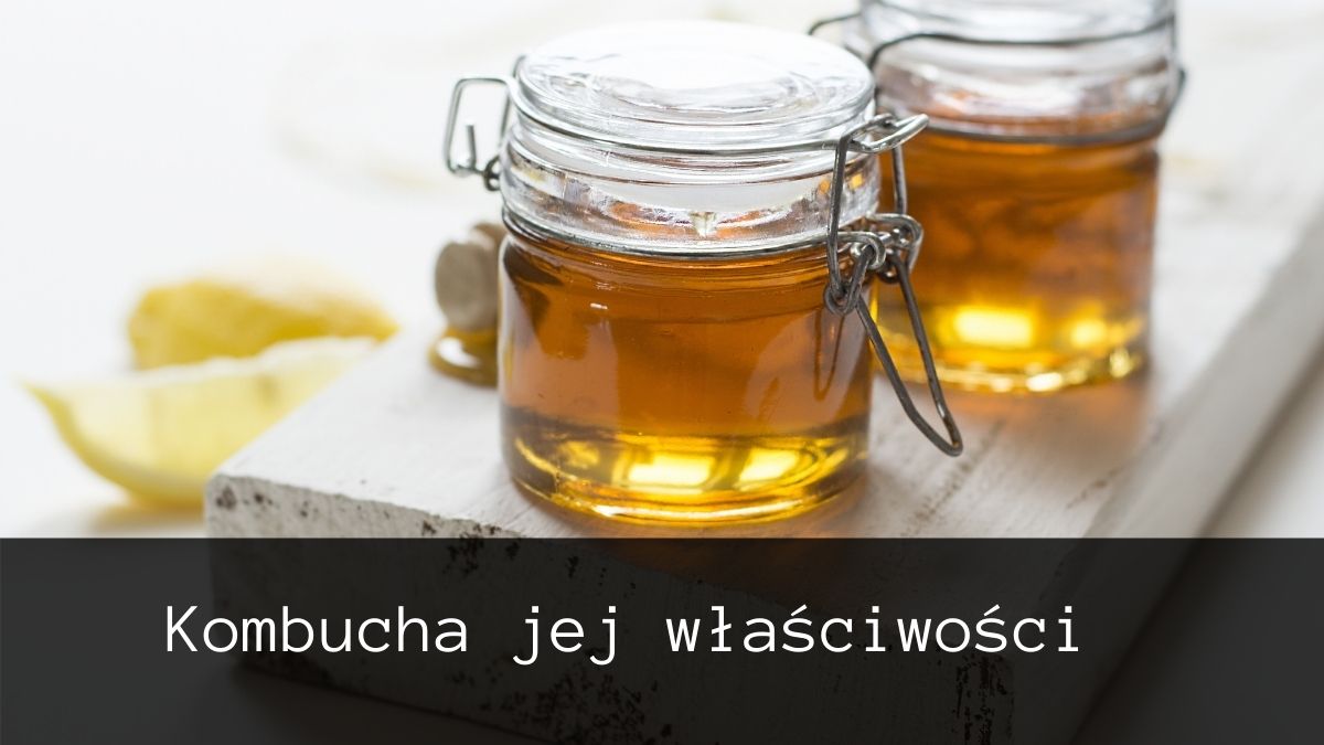 kombucha-jej-dzialanie kombucha jej właściwości