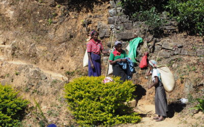 Sri lanka i hebata