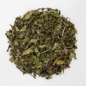 herbata zielona Bancha z uprawy ekologicznej
