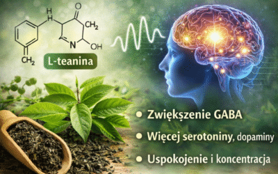 L-teanina – jak działa, na co pomaga?