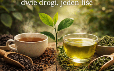 Zielona i czarna herbata-dwie drogi jeden liść