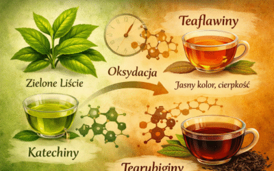 Teaflawiny i tearubiginy – co oksydacja zmienia w herbacie